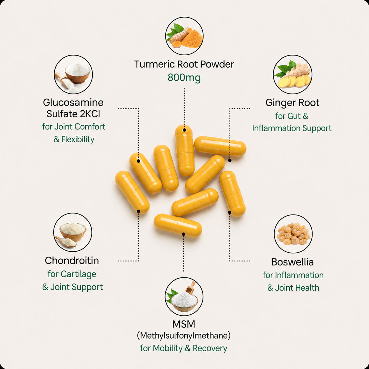 Joint & Mobility Support